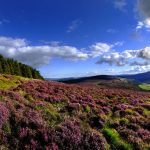view-of-the-wicklow-mountains-co.-wicklow-christopher-hill