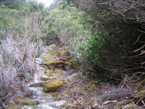 Cardiac Hill Killarney
