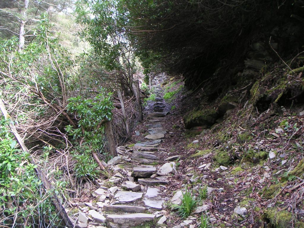 Killarney Nationalpark, Steps