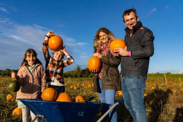 Halloween in Irland mit der Familie