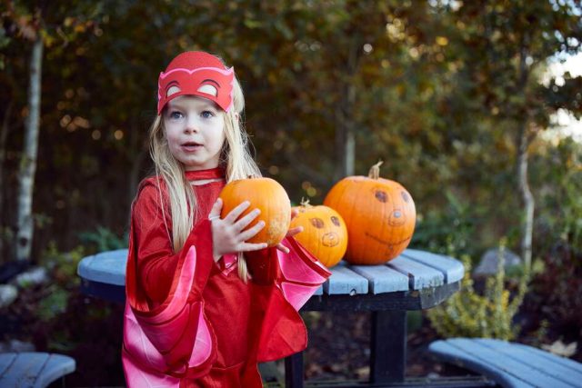 Halloween Irland Jack o Lantern